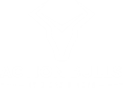 TOROS DE ACCIÓN